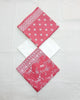 Rimsha Classic Cotton 3pc by Ajwa Textiles | D1204-C